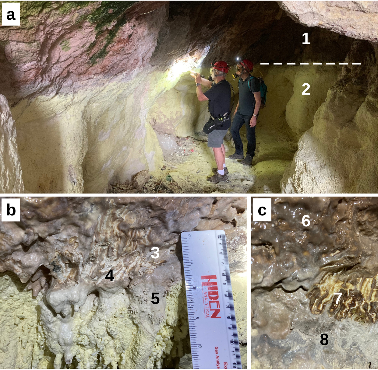 Cave Microbiome Sampling